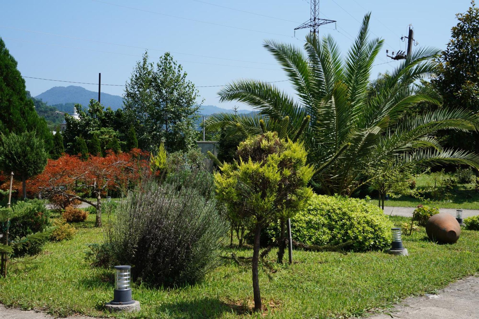 Villa Qero Batumi Exterior photo
