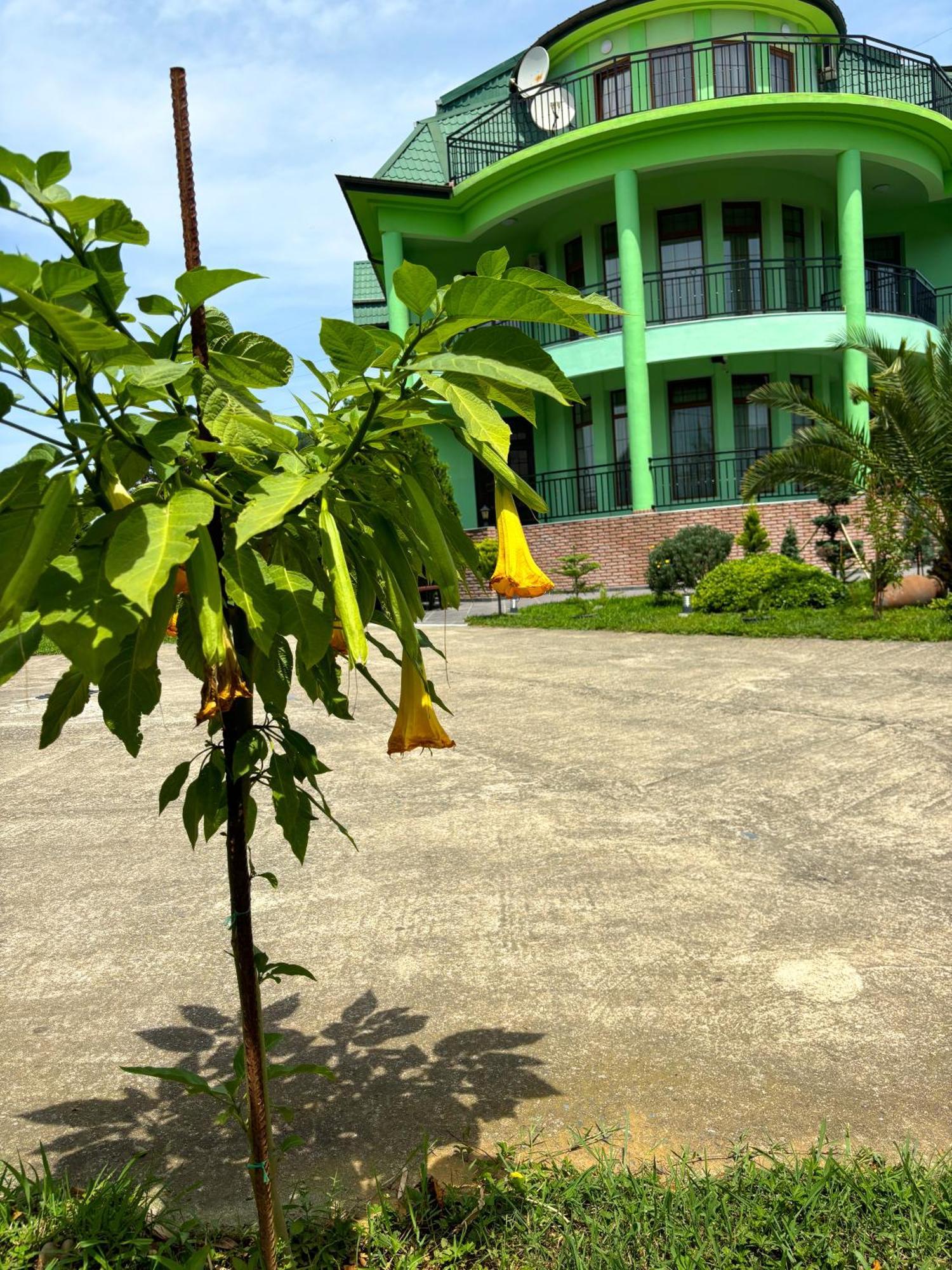 Villa Qero Batumi Exterior photo